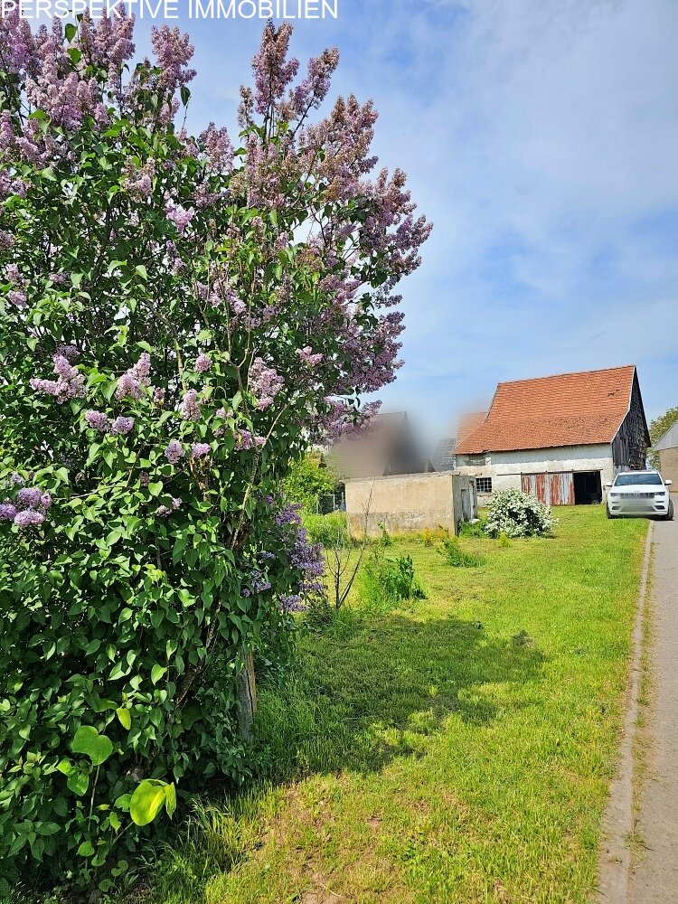 Schönes Baugrundstück mit ausbaubarer Scheune in ruhiger Lage Schönes Baugrundstück mit ausbaubarer Scheune in ruhiger Lage
