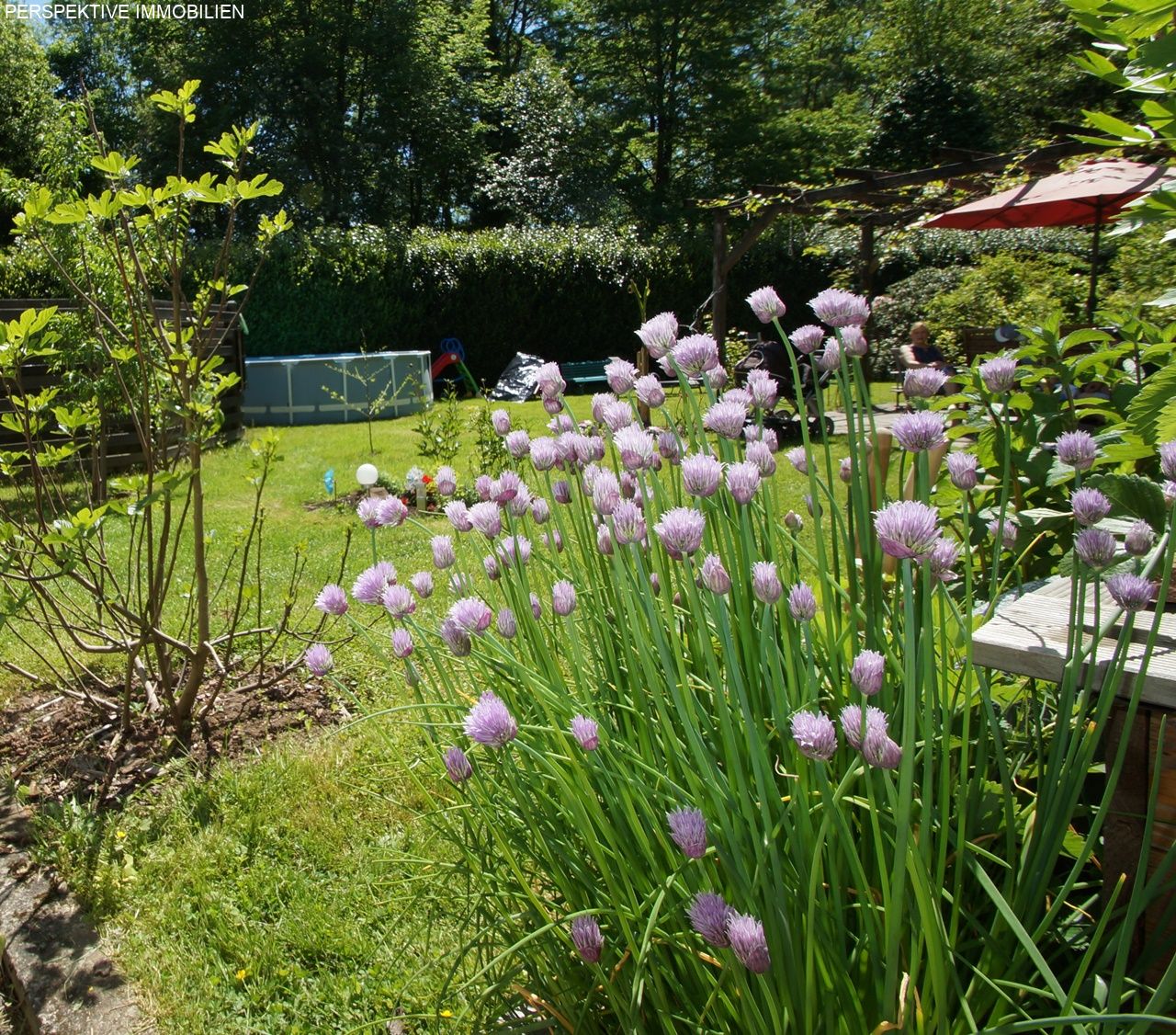 Im Garten1